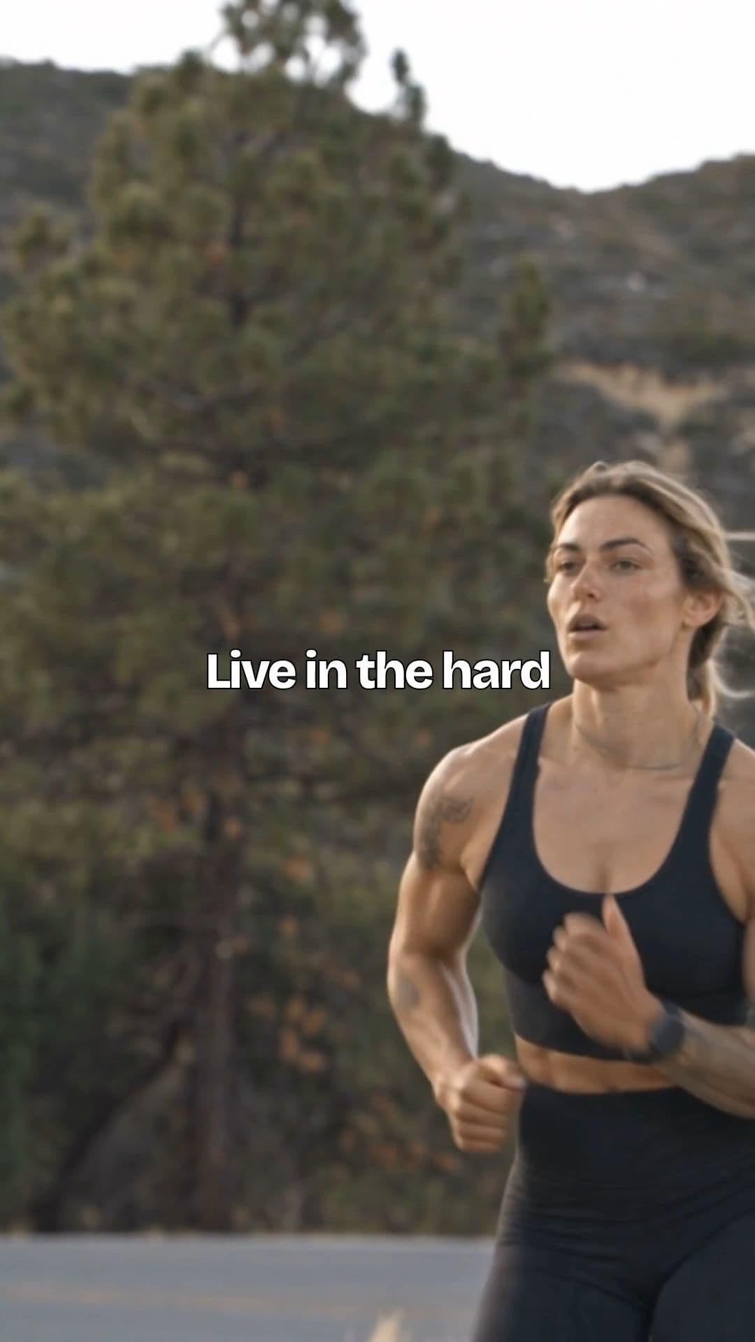 Live in the Hard
